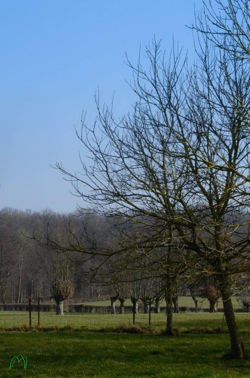 Bed and Breakfast Les Temps Gourmands Mondrepuis Esterno foto